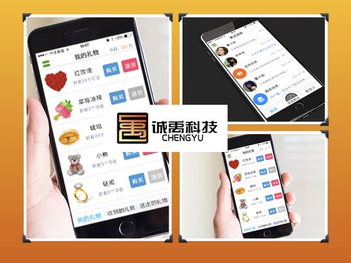 漳州軟件外包與APP開(kāi)發(fā) 聚焦IM即時(shí)通訊應(yīng)用的專業(yè)服務(wù)
