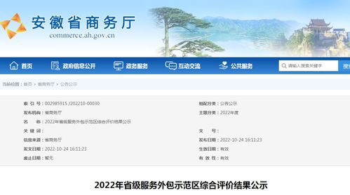 安徽公示2022年省級(jí)服務(wù)外包示范區(qū)綜合評(píng)價(jià)結(jié)果 軟件開(kāi)發(fā)領(lǐng)域表現(xiàn)突出