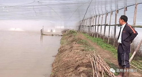 水產(chǎn)養(yǎng)殖防寒策略與畜牧漁業(yè)飼料銷售調整指南