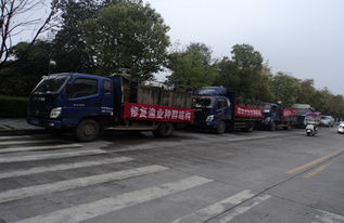 漁業(yè)增殖促生態(tài)，畜牧水產(chǎn)譜新篇——江西修水縣開(kāi)展資源放流活動(dòng)助力產(chǎn)業(yè)發(fā)展