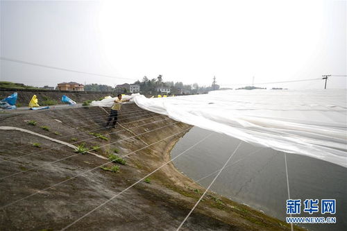 疏通產(chǎn)業(yè)鏈堵點(diǎn)，保障“菜籃子”供應(yīng)——重慶養(yǎng)殖大區(qū)力促養(yǎng)殖業(yè)補(bǔ)損復(fù)產(chǎn)與飼料銷(xiāo)售暢通